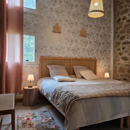 La Pivoine Avec Piscine *